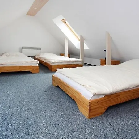 Im Mueritz-nationalpark In 米罗