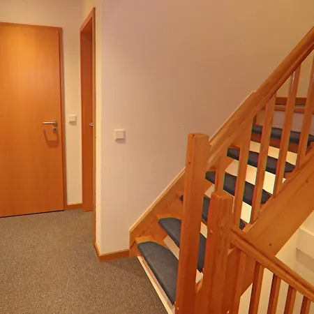 Im Mueritz-nationalpark In *