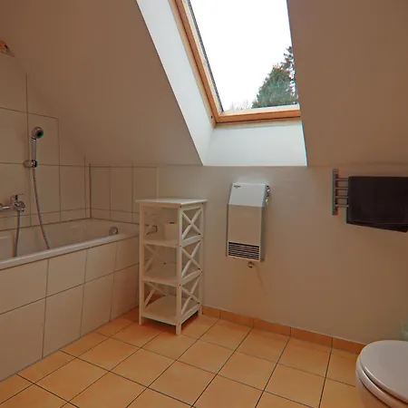 Im Mueritz-nationalpark In